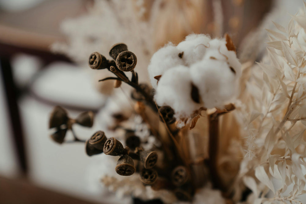 Why We Choose 100% Sustainable Cotton – And Why It Matters